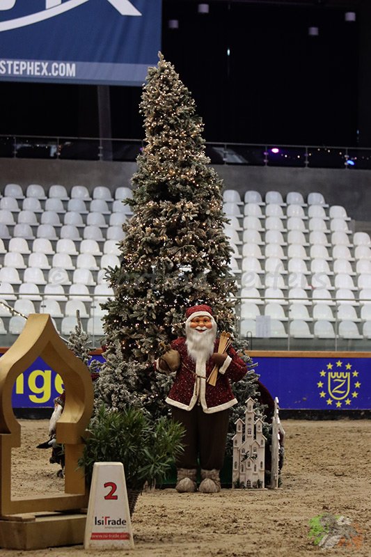 Weihnachtsbaum in der Halle