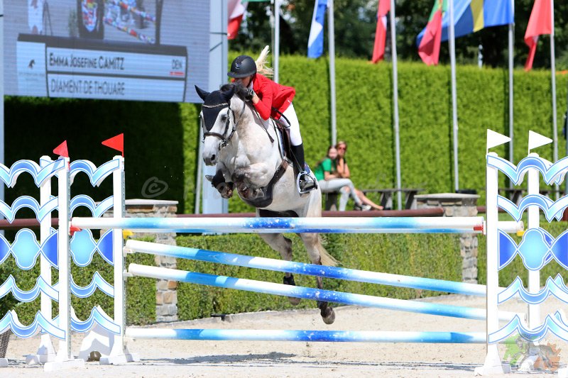 Pony Diament de Thourare