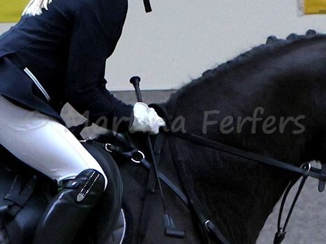 Ponymeeting