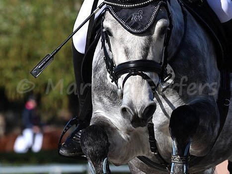 Ponyturnier