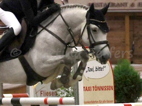 Ponyturnier