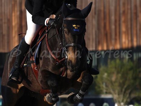 CSIO Youth Finals
