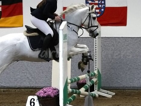 Ponymeeting